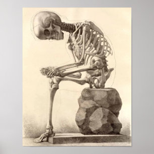 Vintage Sitting Skeleton Poster Print