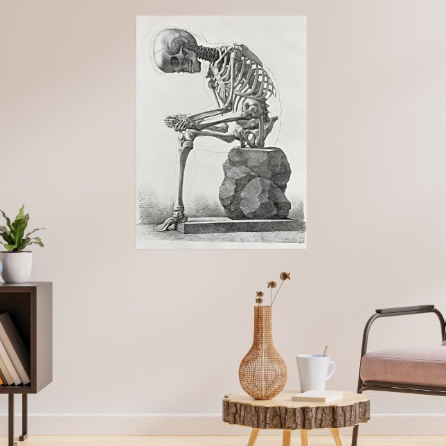 Vintage Skeleton Anatomy Poster (Living Room 3)