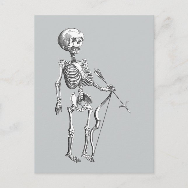 Vintage Skeleton Archer Postcard (Front)