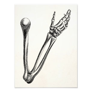 Vintage Skeleton Arm Bone Personalised Retro Bones Photo Print
