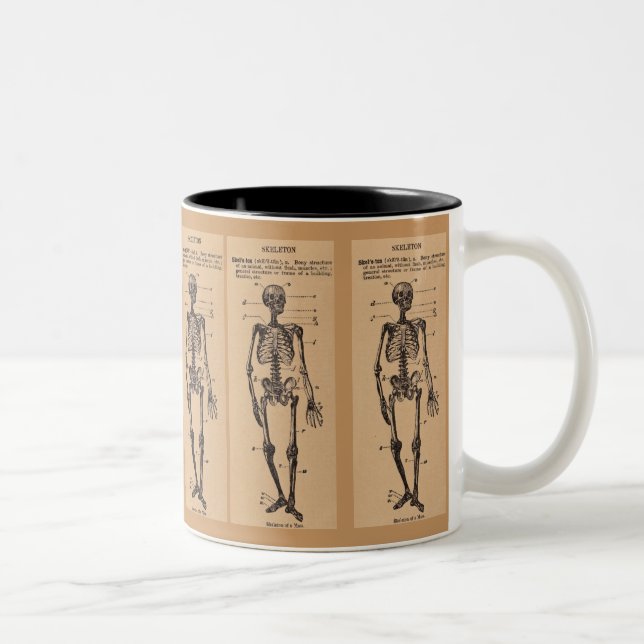 Vintage "Skeleton" Definition Two-Tone Coffee Mug (Right)