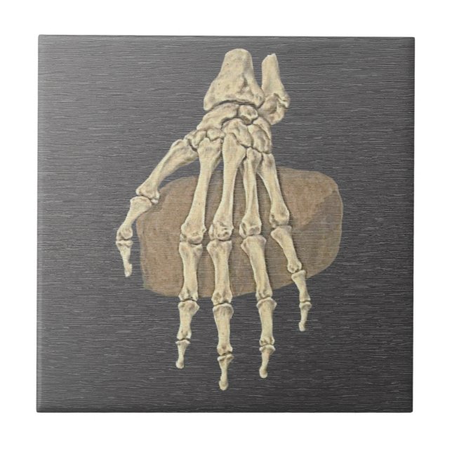 Vintage Skeleton Hand - Anatomy Ceramic Tile (Front)