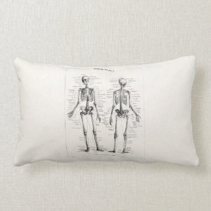Vintage Skeleton Human Anatomy Bone Bones Skull Lumbar Cushion