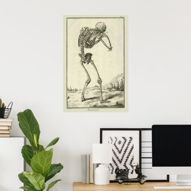 Vintage Skeleton, Human Anatomy by Denis Diderot Poster (Home Office)