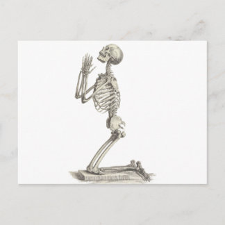Vintage Skeleton Postcard