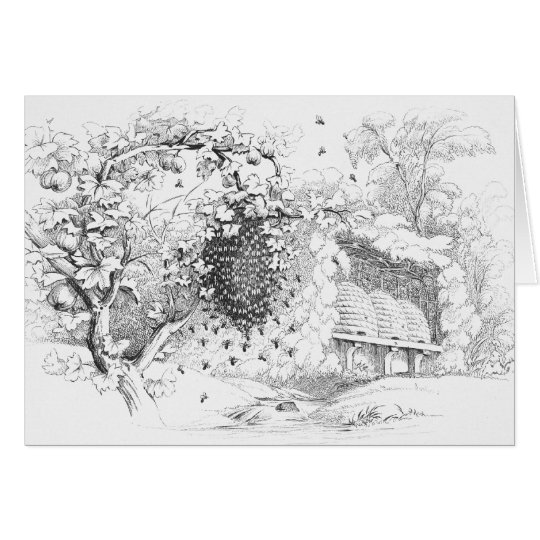 Vintage Skep Bee Hives Drawing Card