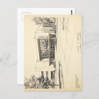 Vintage Sketch Hindu Monkey Farm Postcard