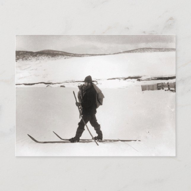 Vintage ski  image, Cross country skiing Postcard (Front)