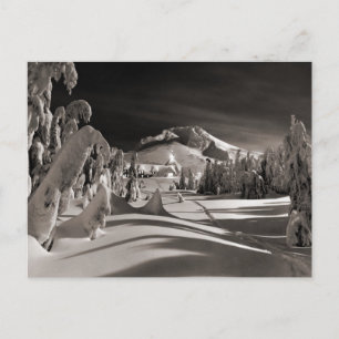 Vintage ski  image, Ski trail through the trees Postcard