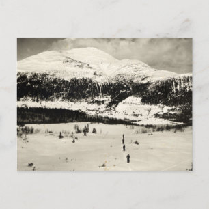 Vintage ski  image, Skiers in the valley Postcard