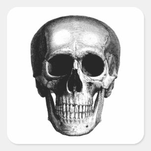 Vintage Skull Art Square Sticker