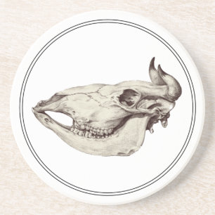 Vintage Skull of Cow Illustration Coaster