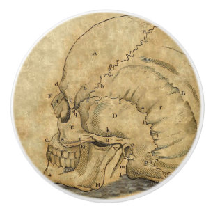 Vintage Skull Profile Engraving Ceramic Knob