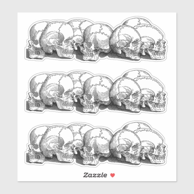 +|| Vintage Skulls ||+ (Sheet)