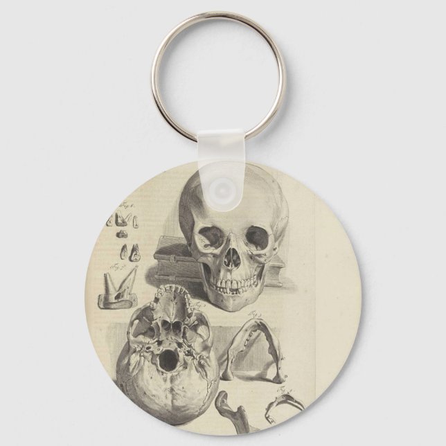 Vintage Skulls Key Ring (Front)