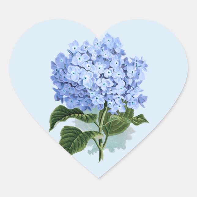 Vintage Sky Blue Hydrangea Flower Sticker (Front)