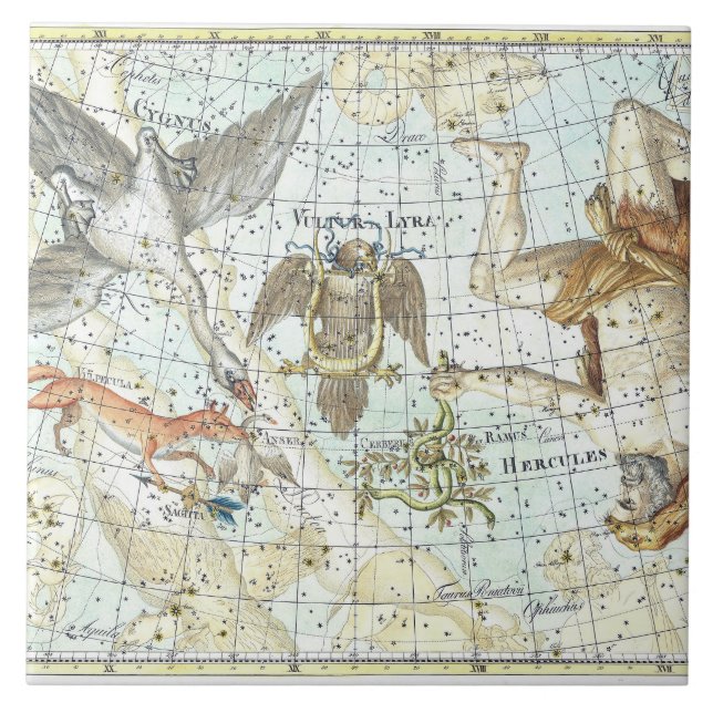 Vintage Sky Map Constellation of Hercules  Ceramic Tile (Front)