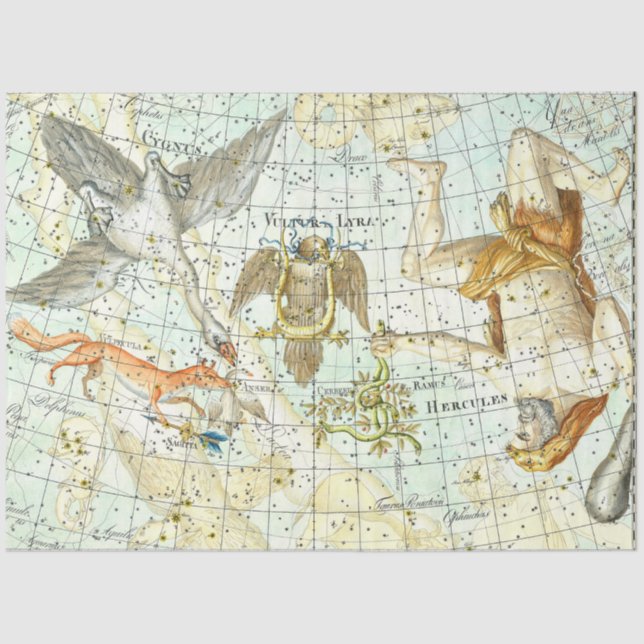 Vintage Sky Map Constellation of Hercules  Tissue Paper (Front)