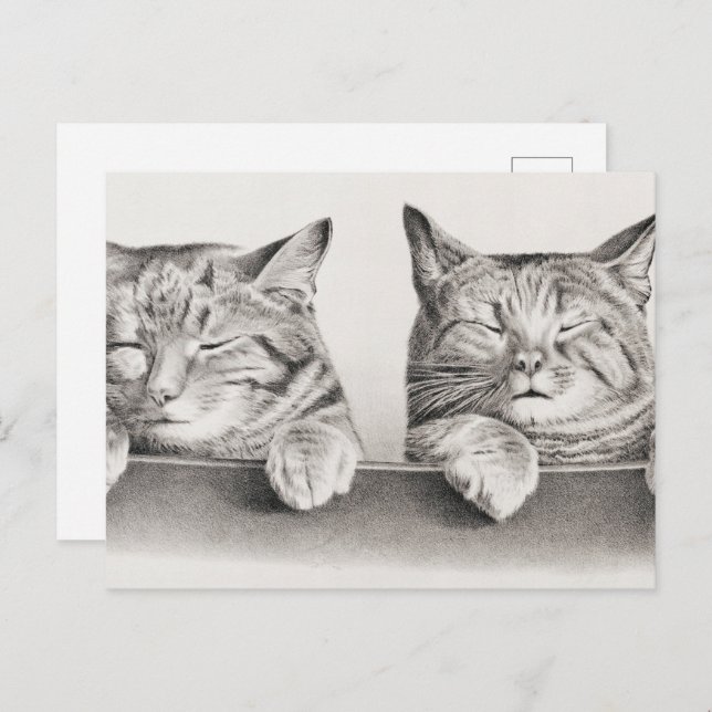 Vintage Sleeping Cats Lithograph, 1874 Postcard (Front/Back)