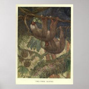 Vintage Sloth Painting (1919) Poster