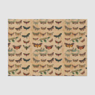 Vintage small Butterflies Stained Paper Decoupage