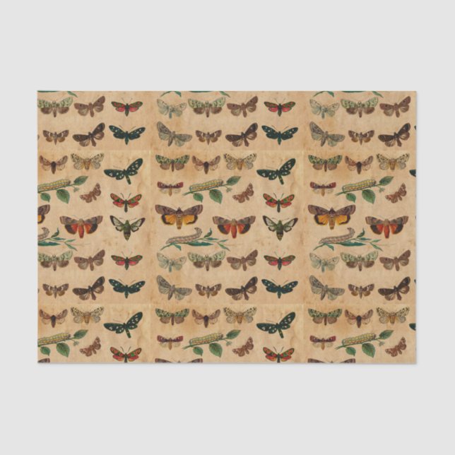 Vintage small Butterflies Stained Paper Decoupage (Front)