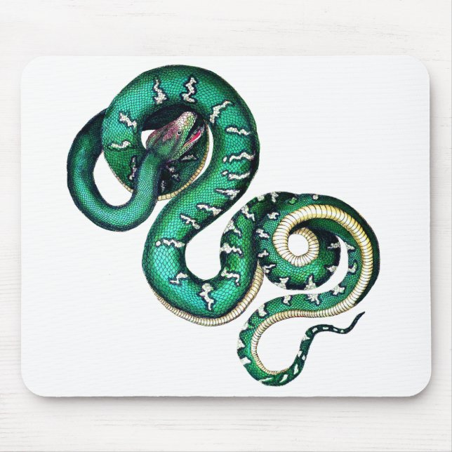 Vintage snake illustration reptile  mouse pad (Front)