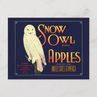 Vintage Snow Owl Apples Label Postcard