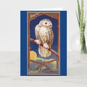 Vintage snow owl illustration card