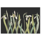 Vintage Snowdrop Flower Black Spring