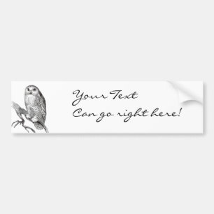 Vintage Snowy Owl Bumper Sticker