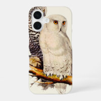Vintage Snowy Owl Drawing