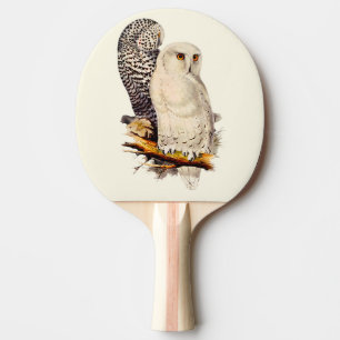 Vintage Snowy Owl Drawing Ping Pong Paddle