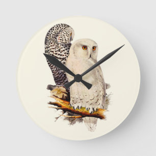 Vintage Snowy Owl Drawing Round Clock