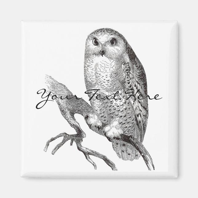 Vintage Snowy Owl Magnet (Front)