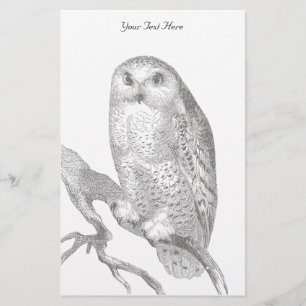 Vintage Snowy Owl Stationery
