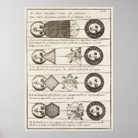 Vintage Solar Eclipse Diagram Illustration