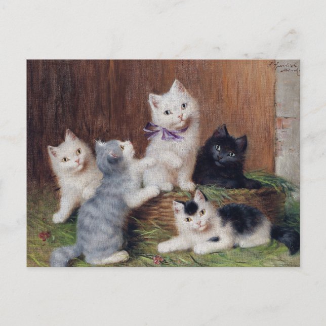 Vintage Sophie Sperlich Kittens  Postcard (Front)