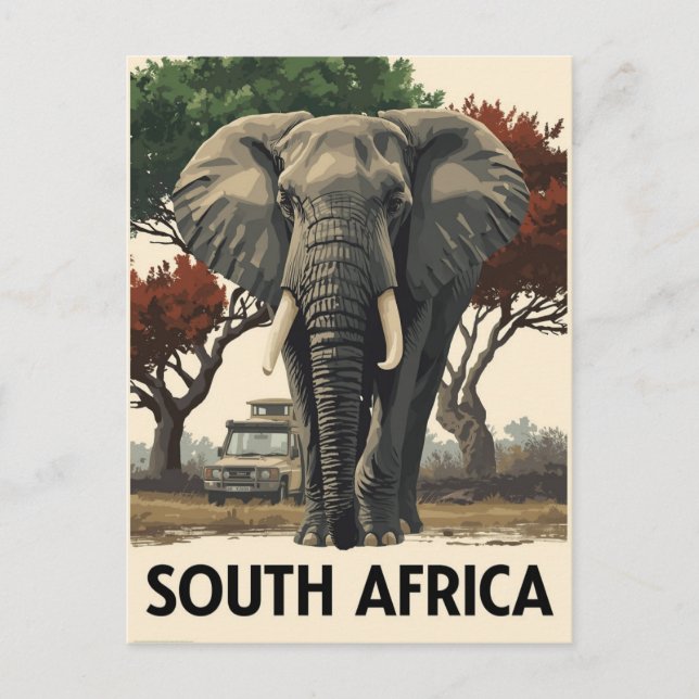 Vintage South Africa Elephant Safari Travel Postcard (Front)
