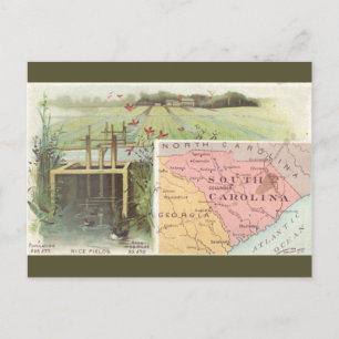Vintage South Carolina Map Postcard