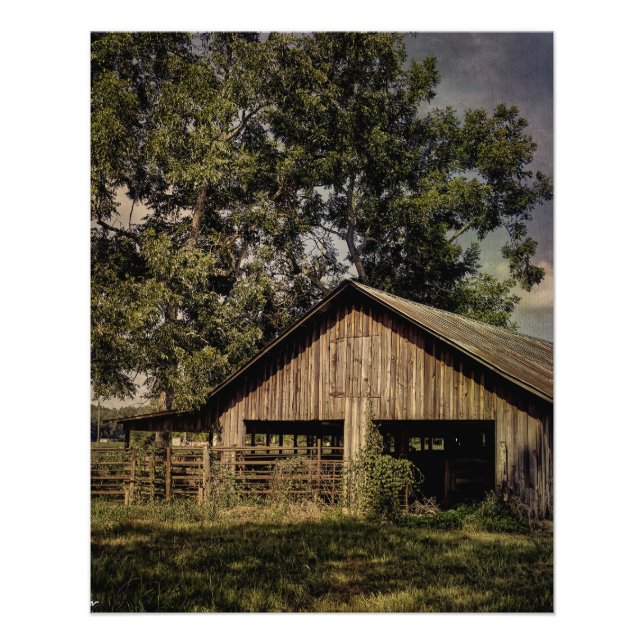 Vintage South Georgia Barn  Photo Print (Front)