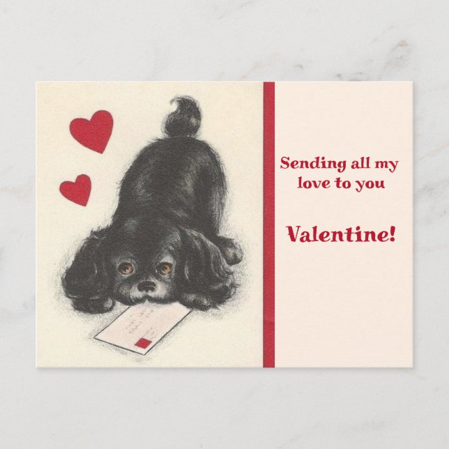 Vintage Spaniel Puppy Dog 1950's Valentine Postcard (Front)