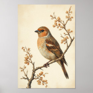 Vintage Sparrow Cottagecore Bird Wall Art
