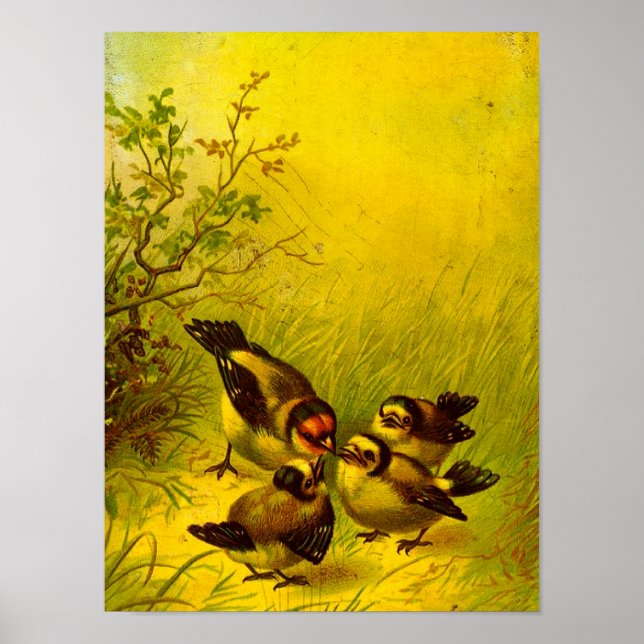 Vintage Sparrows Canvas Print (Front)