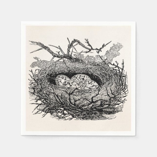Vintage Speckled Eggs Bird Nest Personalised Birds Napkin (Front)