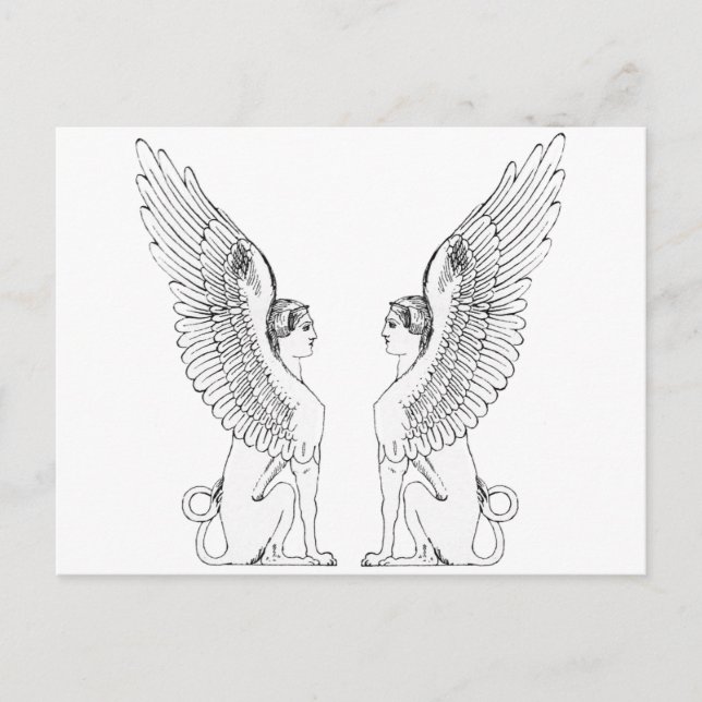 Vintage Sphinx illustration Postcard (Front)