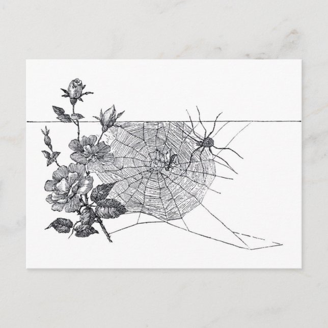 Vintage Spider Web and Rose Postcard (Front)