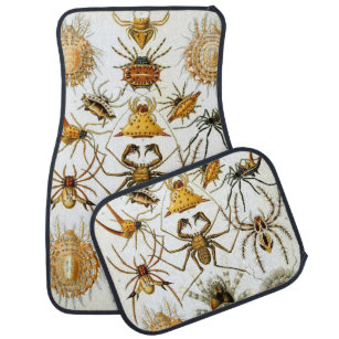 Vintage Spiders or Arachnids by Ernst Haeckel Car Mat