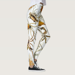 Vintage Spiders or Arachnids by Ernst Haeckel Leggings