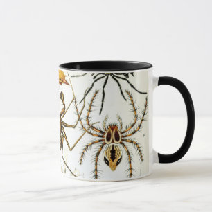 Vintage Spiders or Arachnids by Ernst Haeckel Mug